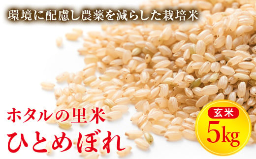 令和6年産【ホタルの里米】環境に配慮し農薬を減らした栽培米 ひとめぼれ玄米5kg 米 お米 おこめ ご飯 ごはん 福島県 西会津町 F4D-0698 594188 - 福島県西会津町