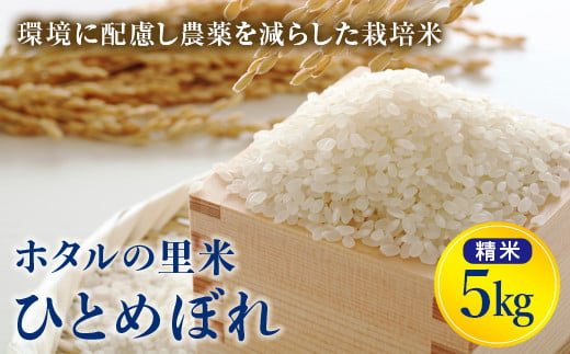 令和6年産【ホタルの里米】環境に配慮し農薬を減らした栽培米 ひとめぼれ精米5kg 米 お米 おこめ ご飯 ごはん 福島県 西会津町 F4D-0697 594187 - 福島県西会津町