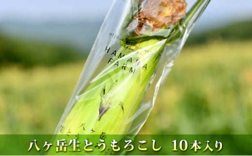 2025年産 生で食べられる極上の八ヶ岳生とうもろこし10本入り約3.5kg 724694 - 長野県原村