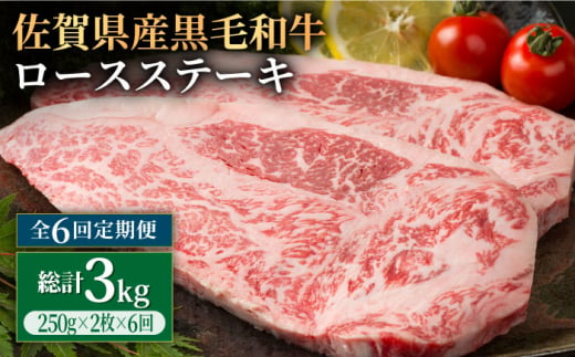 6回定期便】佐賀県産 黒毛和牛 贅沢 ロースステーキ 250g×2枚（計500g