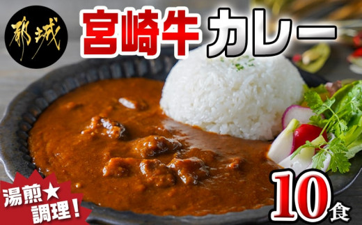 宮崎牛カレー10食セット - (都城市) ご当地カレー レトルトカレー