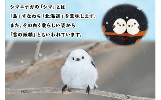 「シマエナガ」は、日本では北海道でのみ見られる、とても小さく可憐な鳥です。