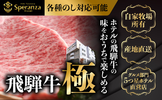 猫助け 飛騨牛ハンバーグ 5個セット 飛騨牛 ハンバーグ 個包装 冷凍 肉 和牛 国産 ネコリパブリック (SAVE THE CAT HIDA支援)