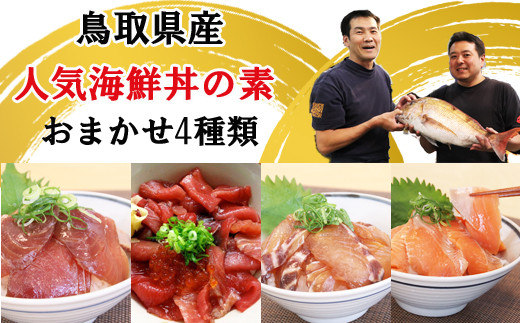 Ey09 人気海鮮丼の素お試し4食セット 鳥取県日吉津村 ふるさとチョイス ふるさと納税サイト