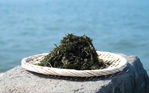 熊本県産 有明漁師海苔 お楽しみセット 味付け海苔 3種 高級焼き海苔 バラ干し海苔