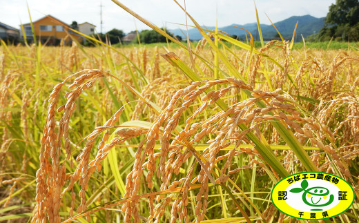 長狭平野で育ったお米は、蛇紋岩由来のミネラル豊富な重粘土質の土壌と、２つの山系からもたらされる水で栽培されています。