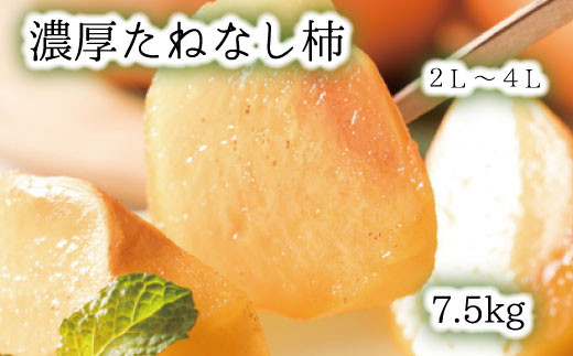【秋の美味】【和歌山ブランド】 濃厚たねなし柿　秀品　2L～4Lサイズ　約7.5kg入り 859484 - 和歌山県太地町