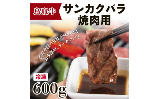 1513 鳥取牛サンカクバラ焼肉用 600g(冷凍) 1291424 - 鳥取県鳥取市