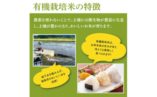 鳥取県鳥取市のふるさと納税 0820 有機栽培米