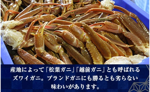 【訳あり】お刺身OK！本ずわい蟹むき棒身 500g 完全殻むき100％可食OK【北海道・ロシア・アメリカ産】SDGs食品ロスをなくそう