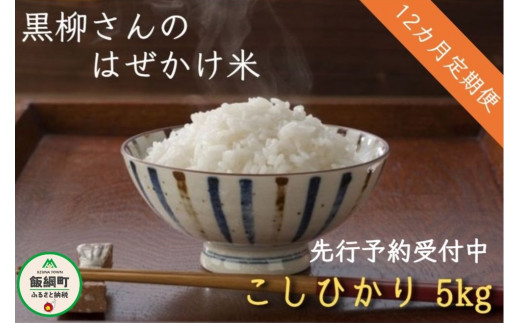 0647]【令和4年度収穫分】こしひかり 5kg×12回【12カ月定期便】 ※沖縄