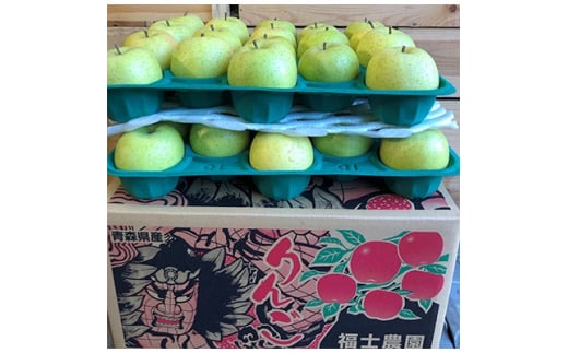 りんご「王林」約10kg(糖度14度以上保証・訳あり家庭用)_A3-30【1111234】