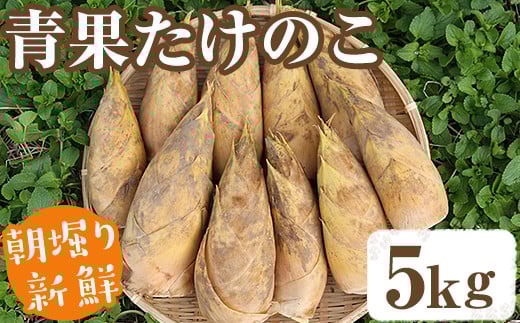 【土日祝着】＜先行予約受付中！2026年2月下旬以降順次発送予定＞朝堀り青果たけのこ(約5kg) 国産 新鮮 タケノコ 青果 竹の子 筍 野菜 春 旬 期間限定【上野食品】akn008-20-B