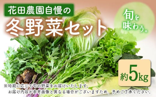 冬 野菜 セット 約5kg 花田農園《11月上旬から3月中旬頃出荷》白菜 大根 大葉 里芋 春菊 キャベツ 水菜 リーフレタス ブロッコリー ロマネスコ 鞍手郡 847466 - 福岡県鞍手町