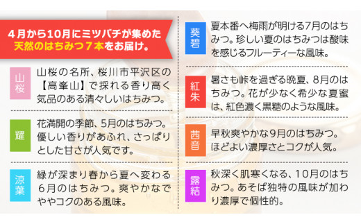 桜川市限定】山桜はちみつと春の田舎はちみつの7種ギフトセット[結蜜