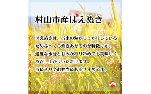 山形県村山市のふるさと納税 【先行予約】 新米 米 15kg 5kg×3 はえぬき 無洗米 令和6年産 2024年12月上旬 ja-hamxb15-12a