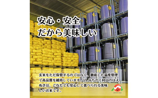 山形県村山市のふるさと納税 【先行予約】 新米 米 15kg 5kg×3 はえぬき 無洗米 令和6年産 2024年12月上旬 ja-hamxb15-12a