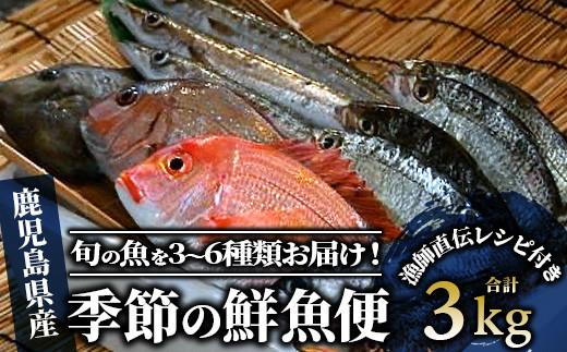 【指宿産直便】漁師が選ぶ季節の鮮魚便 お試しセット(指宿山川水産/A-227)