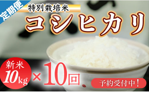 新米予約！令和６年産　(精白米)　特別栽培米　こしひかり10kg×10袋 936552 - 高知県三原村