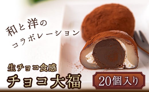 生チョコ食感 チョコ大福 20個  北九食品株式会社 《30日以内に出荷予定(土日祝除く)》大福 和菓子 スイーツ 鞍手郡 795332 - 福岡県鞍手町