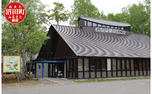 沼田町化石体験館入館年間パスポート