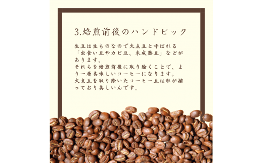 岐阜県大垣市のふるさと納税 デカフェ カフェインレスコーヒー豆 焙煎度違い飲み比べ セット　200g×3種類　粉