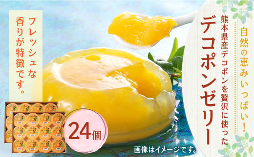 【熊本県産】 デコポン ゼリー 130g×24個 果物 柑橘 フルーツ