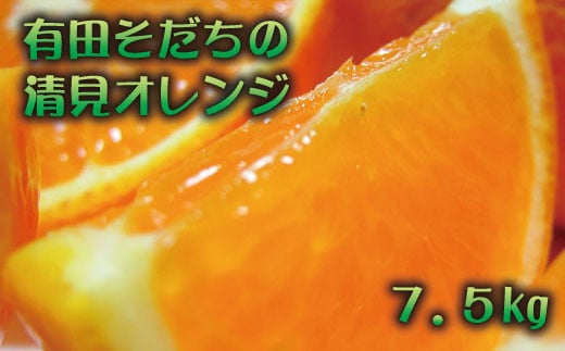 【2025年2月下旬～3月下旬順次発送予定】有田育ちの完熟清見オレンジ(ご家庭用)　約7.5kg【ard018A】 1077949 - 和歌山県串本町