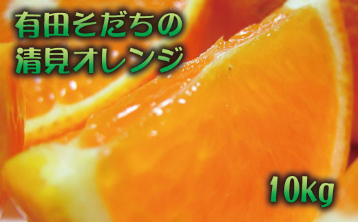 【2023年3月上旬～発送】有田育ちの清見オレンジ(ご家庭用)　約10kg