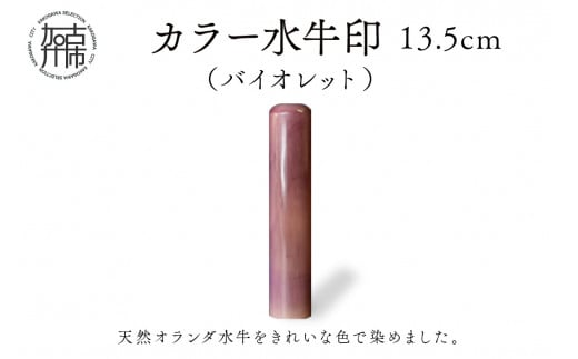 日本最級 印材 オランダ水牛 特選品 工芸品 - abacus-rh.com