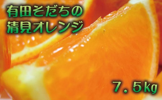 【2025年2月下旬～3月下旬順次発送予定】有田育ちの完熟清見オレンジ(ご家庭用)　約7.5kg 1075779 - 和歌山県古座川町