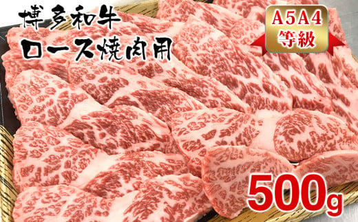 【A5A4等級】博多和牛ロース焼肉用500g 305394 - 福岡県田川市