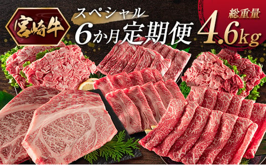 《お楽しみ 6種》『宮崎牛』スペシャル 6か月定期便 総重量4.6kg【F107】