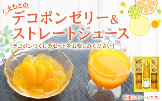 くまもとのデコポンゼリー ジュース セット 果物 柑橘 フルーツ デコポン ゼリー 304754 - 熊本県水俣市