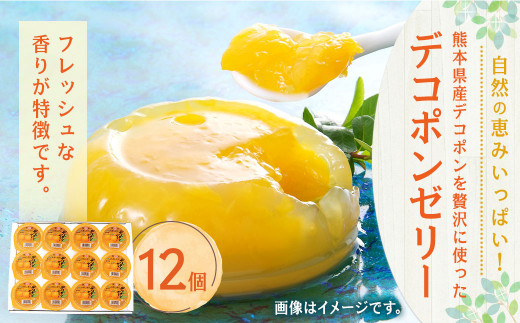 【熊本県産】 デコポン ゼリー 130g×12個 果物 柑橘 フルーツ