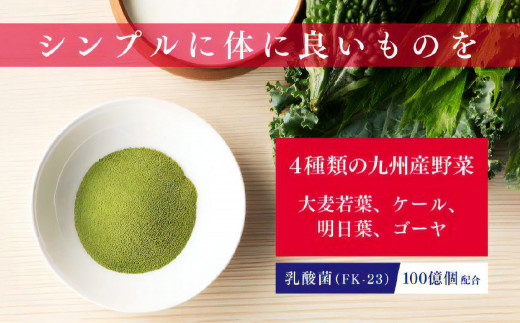 40-29 乳酸菌青汁 24個セット 合計480袋
