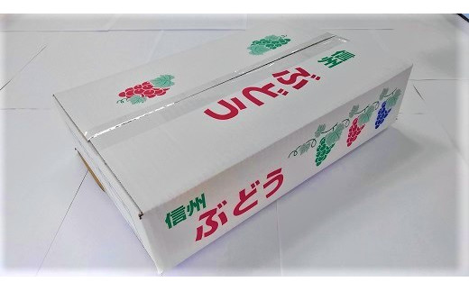 シャインマスカット 【秀品】 4kg 6～10房 / 長野県中野市 | セゾンの