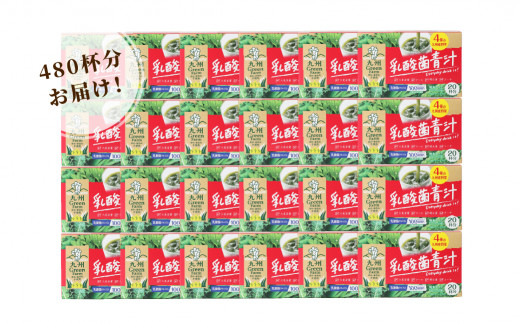 40-29 乳酸菌青汁 24個セット 合計480袋