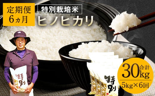 【6ヶ月定期便】相良村産 特別栽培米 ヒノヒカリ 5kg  804739 - 熊本県相良村
