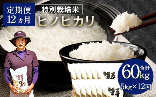 【12ヶ月定期便】相良村産 特別栽培米 ヒノヒカリ 5kg 