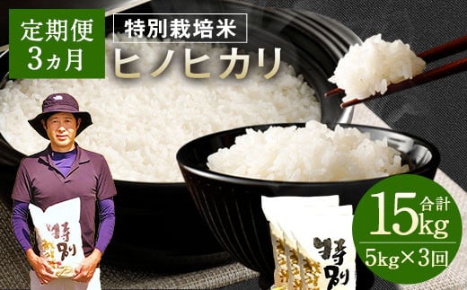 【3ヶ月定期便】相良村産 特別栽培米 ヒノヒカリ 5kg  804738 - 熊本県相良村