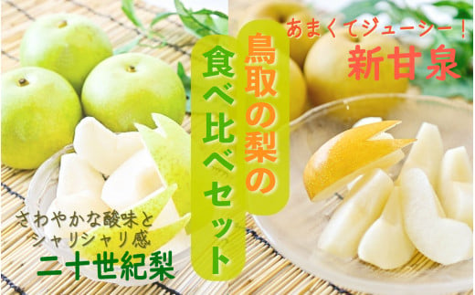 新甘泉と二十世紀梨の食べ比べセット【鳥取県産】５ｋｇ(生橋農園)