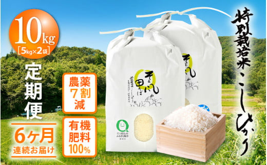 米 定期便 ≪6ヶ月連続お届け≫ 特別栽培米 コシヒカリ 10kg × 6回
