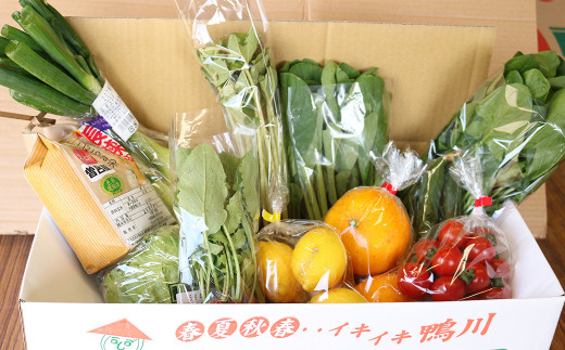 生産者さんたちが丹精込めて育てた野菜＆果物をお届けします。