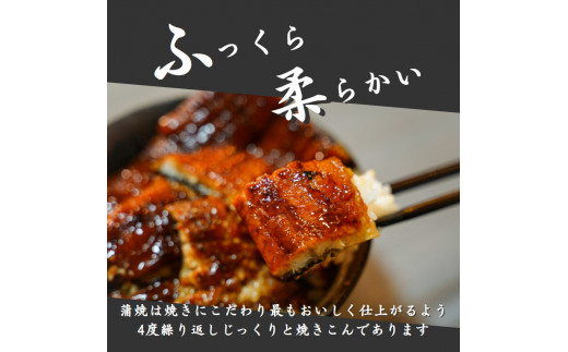 ふるさと納税 焼津市 【定期便3回お届け】うなぎ蒲焼き約(160g×10尾