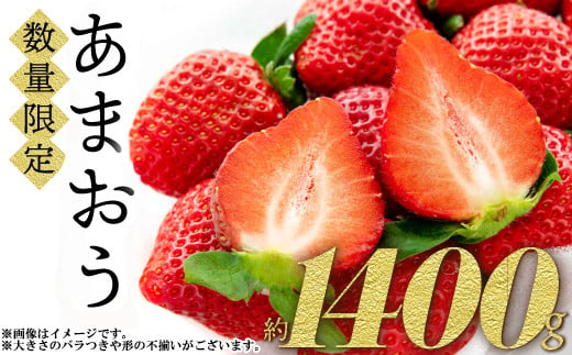 福岡県産「あまおう」1400ｇ（280ｇ×5ｐ）【数量限定】 2P1 - 福岡県