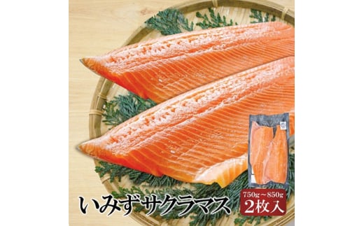 [№5683-0533]魚 鮭 切身 いみずサクラマス 2枚入(約750g～約850g)おつまみ 弁当 サーモン グルメ 食品/富山県射水市	