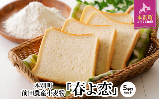 北海道十勝 前田農産パン用小麦粉「春よ恋」5kg 強力粉 バケット 小分け[W006]
