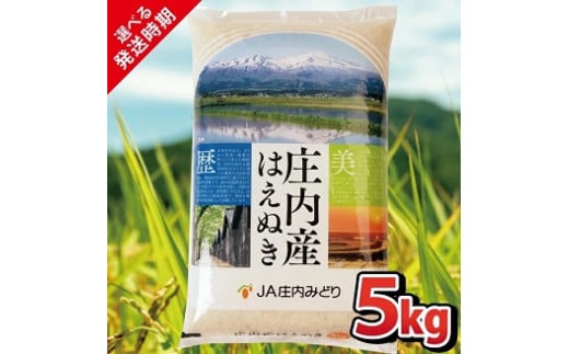 1069R06M11b　庄内産はえぬき5kg（令和6年産米）11月中旬 1479563 - 山形県遊佐町
