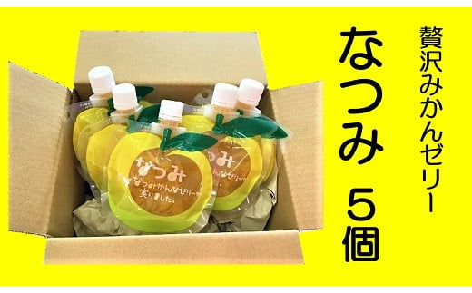 G 巣ごもり生活に太陽の恵み【なつみ5個】 - 三重県熊野市｜ふるさと